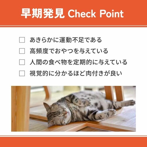 xbcEF LpHÖ@H 500g VET-015 얞PA_7