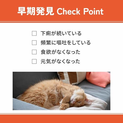 xbcEF LpHÖ@H 500g VET-015 얞PA_20