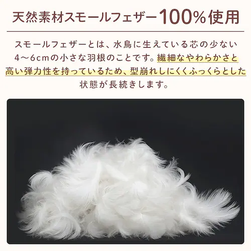 羽根布団7点セット シングル ベージュ(サテン)【プラザセレクト】_4