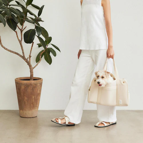 CITYDOG lIv[{XgL[-S- zCg_12