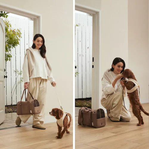 CITYDOG lIv[{XgL[-S- zCg_13