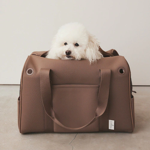 CITYDOG lIv[{XgL[-S- zCg_14