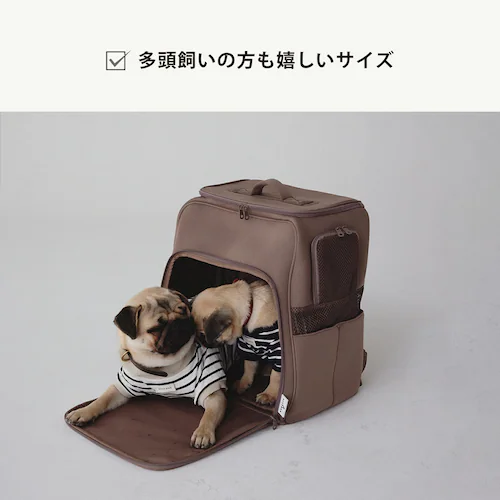 CITYDOG lIv[nEXL[ zCg_4