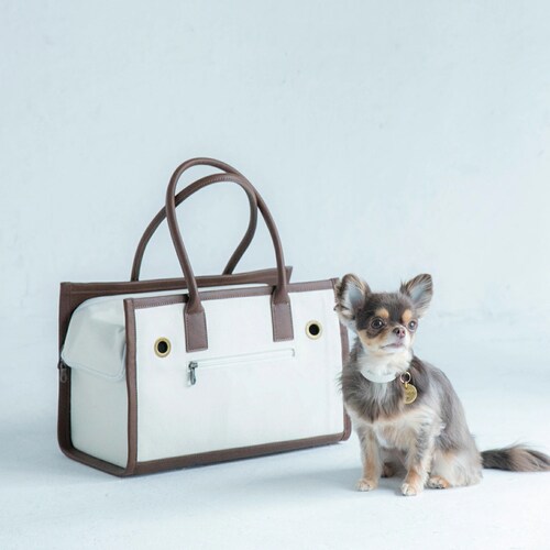 CITYDOG pCsOg[gL[-S-x[W_17