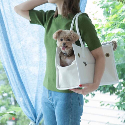 CITYDOG pCsOg[gL[-S-x[W_20