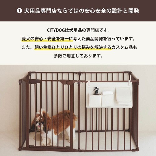 CITYDOG Vv_P[W@zCg_2