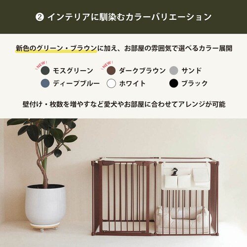 CITYDOG Vv_P[W@zCg_3