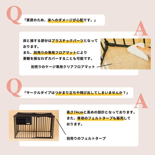 CITYDOG Vv_P[W@zCg_7