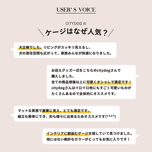 CITYDOG Vv_P[W@zCg_13