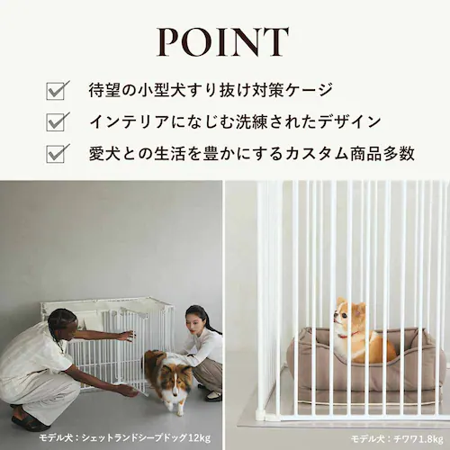 CITYDOG Vv_P[WV[gsb`^Cv@zCg_3