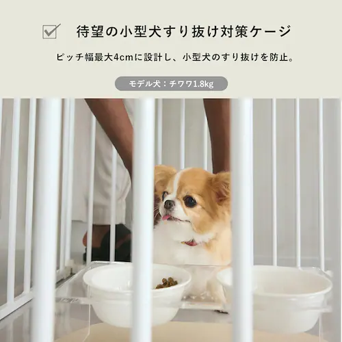 CITYDOG Vv_P[WV[gsb`^Cv@zCg_4