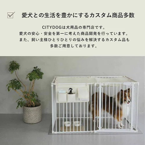 CITYDOG Vv_P[WV[gsb`^Cv@zCg_6