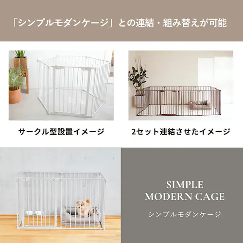 CITYDOG Vv_P[WV[gsb`^Cv@zCg_12