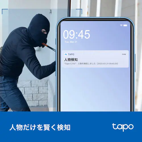 TP-Link ���O�l�b�g���[�N�J���� Tapo C310 �y�v���U�Z���N�g�z_3