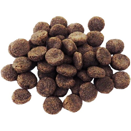 ライトハウス プロデン デンタルバイツ サーモン味 お試しサイズ 犬用 10g 【プラザセレクト】_2