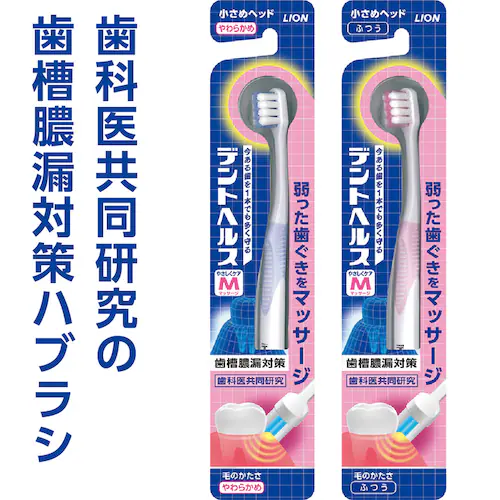 LION デントヘルス 薬用ハミガキ 4点セット(ハミガキ・ハブラシ×2・デンタルフロス) しみるブロック/やわらかめ【プラザセレクト】_2