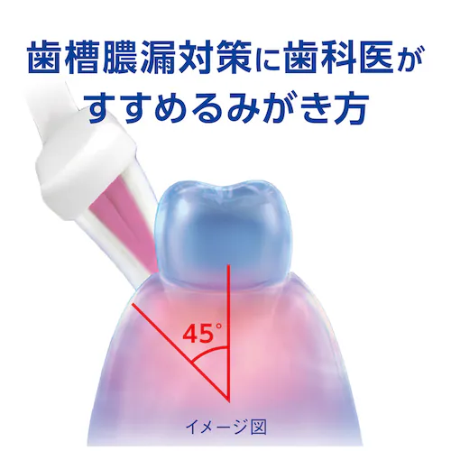 LION fgwX pn~KL 4_Zbgin~KLEnuV~2Ef^tXj ݂ubN/炩߁yvUZNgz_3
