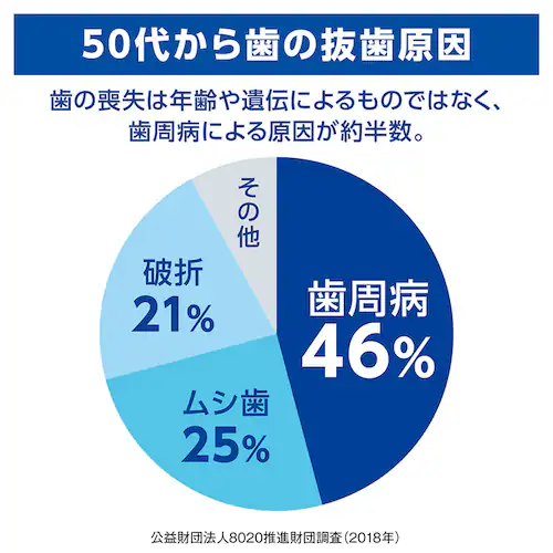 LION デントヘルス 薬用ハミガキ 4点セット(ハミガキ・ハブラシ×2・デンタルフロス) しみるブロック/やわらかめ【プラザセレクト】_8