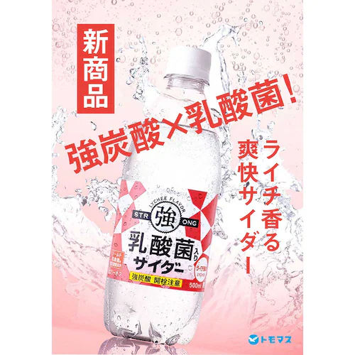【24本】友桝乳酸菌入りサイダー500ml 友桝 _2