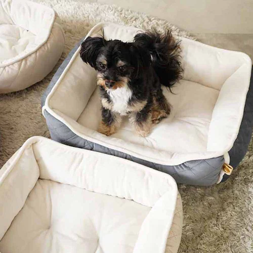 ybgxbh adorable pets OLgXNGAxbh M lCr[ SB-209MNV_2