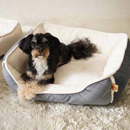 ybgxbh adorable pets OLgXNGAxbh M lCr[ SB-209MNV_5