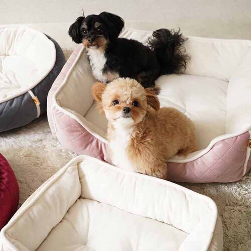 adorable pets OLgXNGAxbh L SB-209LPI sNyvUZNgz_2