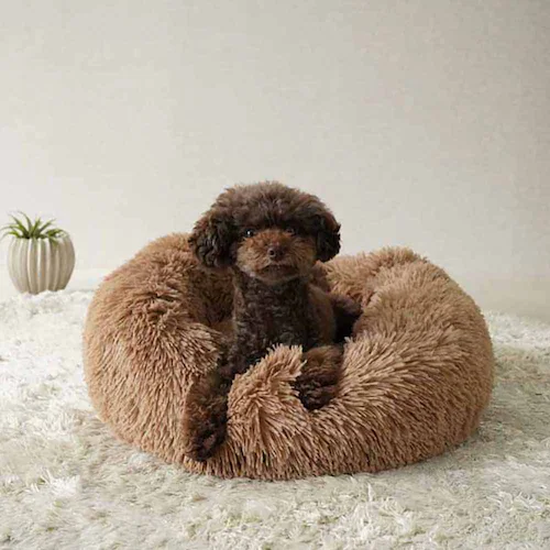 ybgxbh adorable pets CGeBtJtJEhxbh M O[ RB-145MGY_7