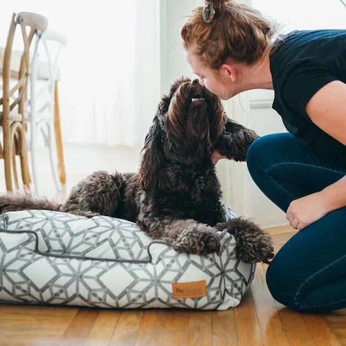 [N EWxbh S \XeBX yvUZNgz_5