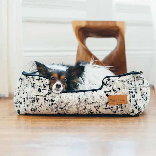 [N EWxbh S ZX`A yvUZNgz_5