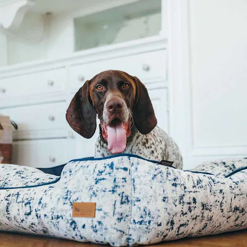 ルークラン ラウンジベッド M セレスチアル 【プラザセレクト】_5