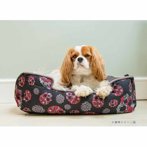 [N EWxbh M XJ yvUZNgz_4