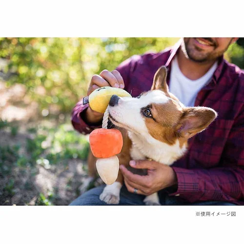 ハウリングホーン ケーナインコーン 犬用おもちゃ ぬいぐるみ_3