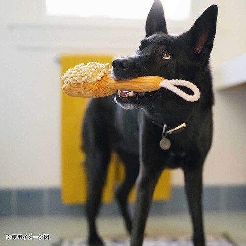 XvbVXvbV {fBuV p ʂ_5