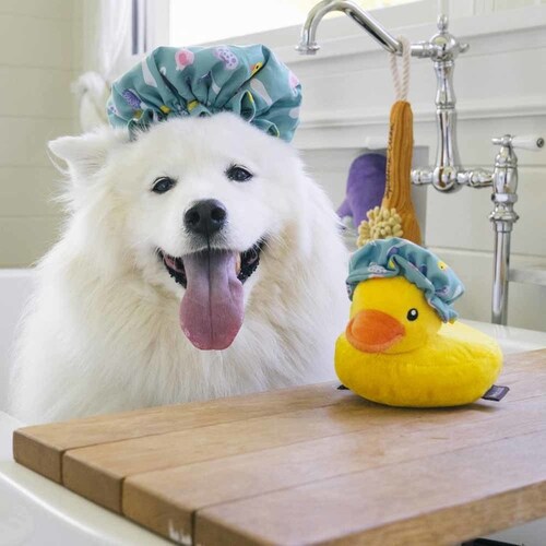 XvbVXvbV V[Lbv p ʂ_5