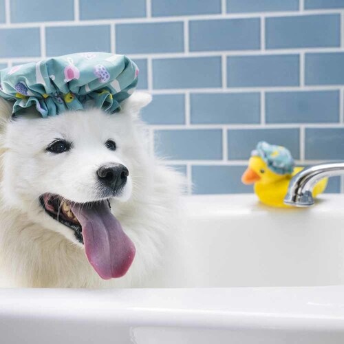 XvbVXvbV V[Lbv p ʂ_6