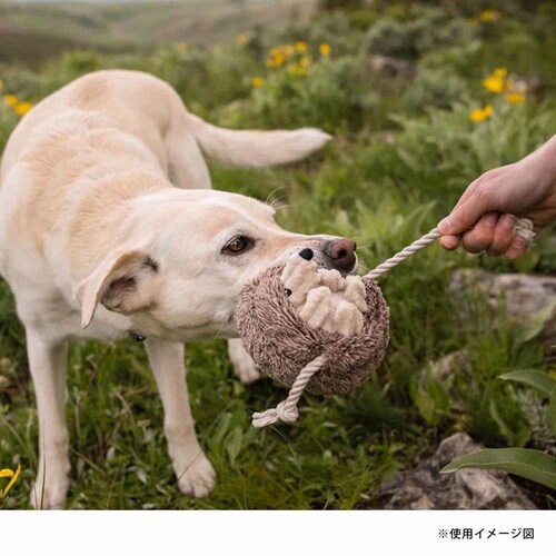 tHXgtY wbWzbO p ʂ_7