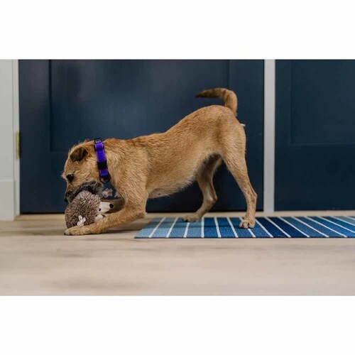 tHXgtY wbWzbO p ʂ_8