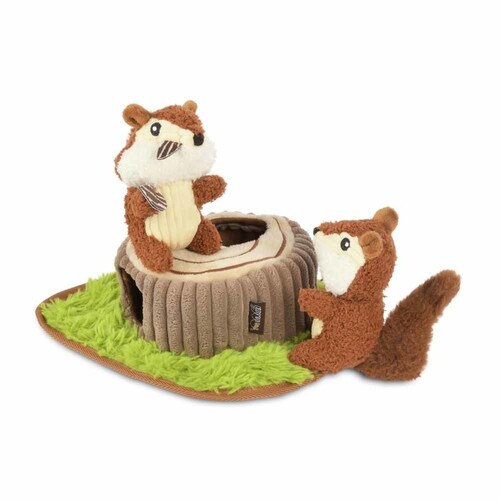 tHXgtY `bv}NX p ʂ_4