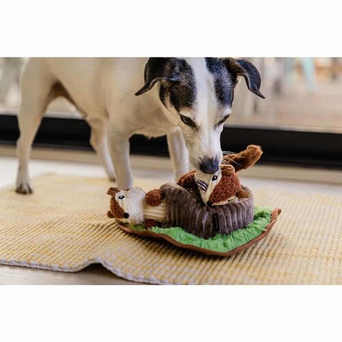 tHXgtY `bv}NX p ʂ_8