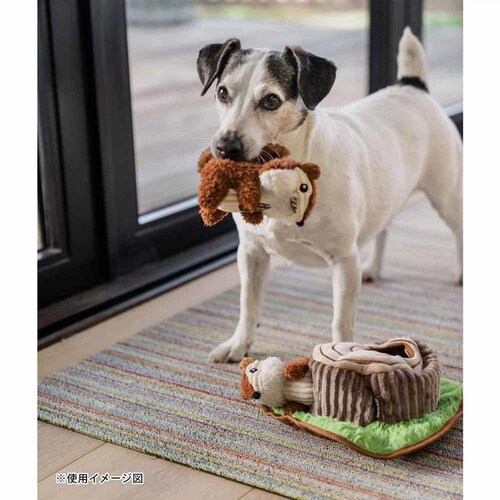 tHXgtY `bv}NX p ʂ_9