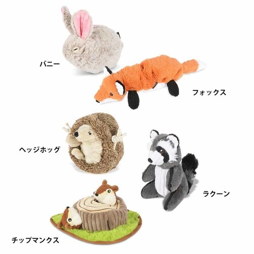 y15ztHXgtY BOXZbg p ʂ v[g_6