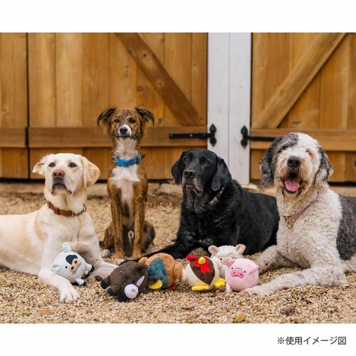 o[[hofB[Y sbOp ʂ_14