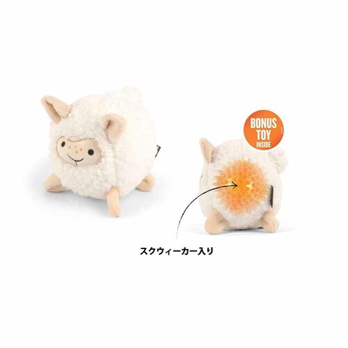 o[[hofB[Y sbOp ʂ_20