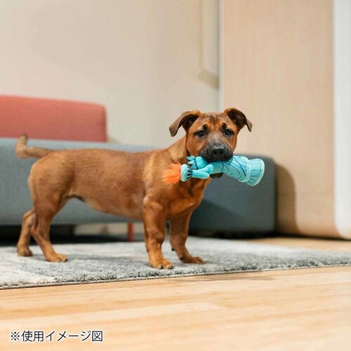 g[^[c[XeB[ fBoeB[ p ʂ_4