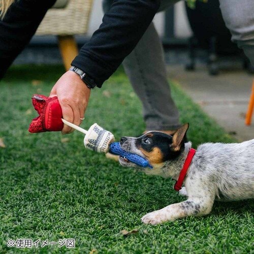 g[^[c[XeB[ GbtF^[ p ʂ_7