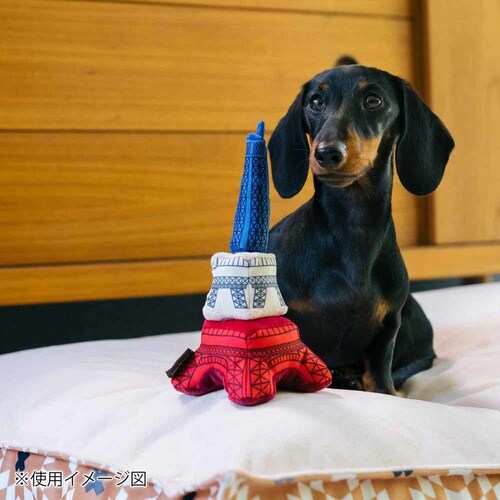 g[^[c[XeB[ GbtF^[ p ʂ_8