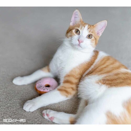 y3ZbgztB[CtW[ h[ic Lp ʂ v[g_3