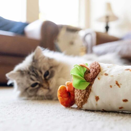 tB[CtW[ Vvug[ Lp ʂ_8