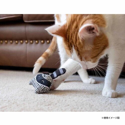 y2ZbgztB[CtW[ N[XN[ Lp ʂ v[g_3