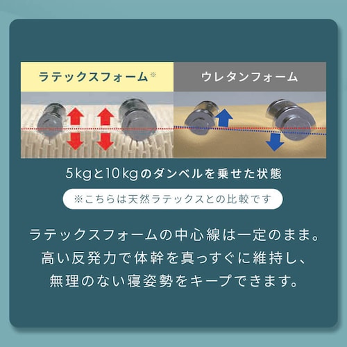 トッパ― グレー 23L-MTP-S 【プラザセレクト】_5